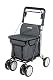 Einkaufstrolley mit Sitz Carlett Lett800 Comfort Move