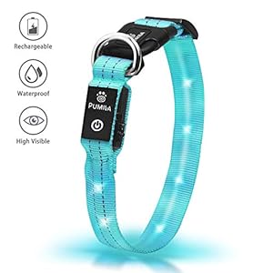 LED Hundehalsband Leuchthalsband Wasserdicht Leuchten Hundehalsband USB Wiederaufladbare Blinkende Hundehalsbänder…