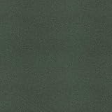 3Mダイノックフィルム 屋外耐候型 (R) 幅122cm×100cm PA-389EX (PA-EX) 【スキージー付き】 屋外向け 耐候性フィルム フッ素樹脂加工外装 サッシ 防火 耐水 耐久 リフォーム リメイク 化粧塩ビフィルム ダイノックシート スリーエム