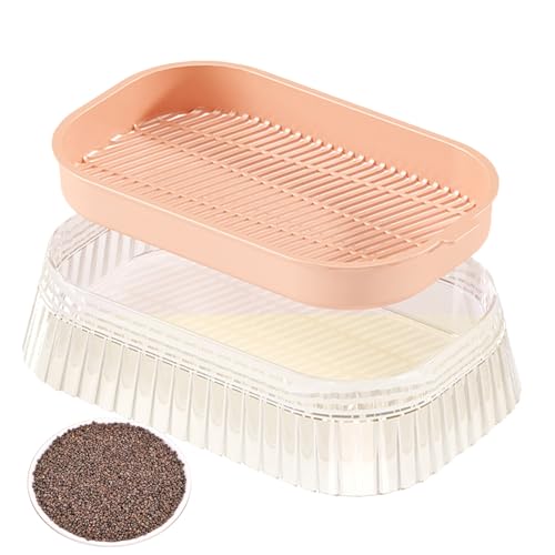 猫草プランター 水耕栽培 土なし 通気 健康生活 猫草栽培セット 猫草ボックス 二層構造 軽量 安定 型崩れにくい 猫草 水耕栽培プランター 使いやすい 発芽 繁殖用 高耐久 猫 草 すいこう栽培キット 猫用品