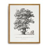 Roslynity Framed Canvas...image