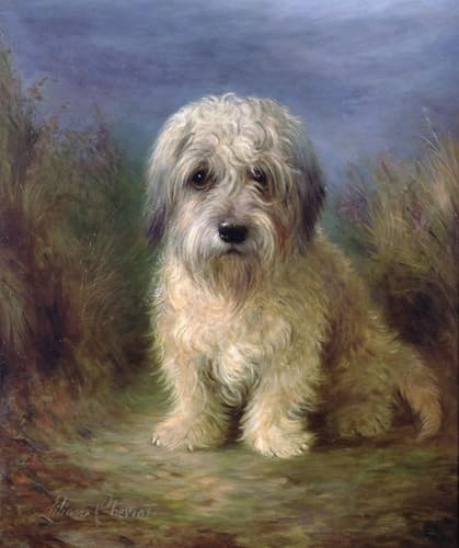Portrait Dandie Dinmont Terrier Lilian Cheviot impression d'art sur toile 60x90cm