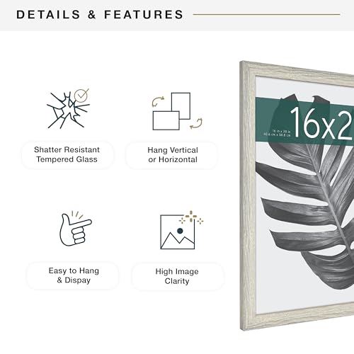 MCS Studio Gallery 16x20 Poster Frame Gray Woodgrain, Vertical & Horizontal Wall Hanging Large Picture Frame for Photos, Posters & Art Prints (1-Pack)