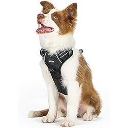 Arneses Miller Mister Mill - Arnés para Perros con Hebilla de Clic Negra - Arnés para Perros con garrapata antitracción - Y Togg Perro Reflectante (L)
