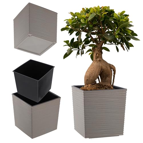 Kadax Maceta De Plástico Resistente A La Intemperie Para Balcón, Terraza, Interior, Maceta Ligera Con Inserción, Maceta Para Plantas, Maceta Para Flores Gris, Altura: 19,5 Cm Kadax Maceta De Plástico Resistente A La Intemperie Para Balcón, Terraza, Interior, Maceta Ligera Con Inserción, Maceta Para Plantas, Maceta Para Flores Gris, Altura: 19,5 Cm