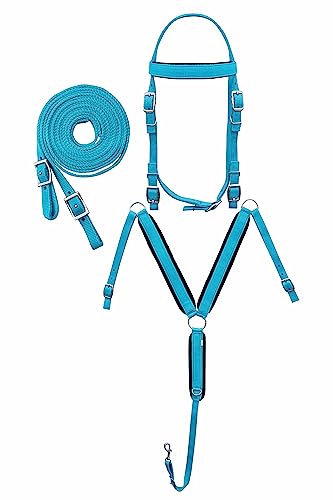 CHALLENGER Horse Western 3-Piece Nylon Bridle Breast Collar Reins Tack Set 601J02TR-F