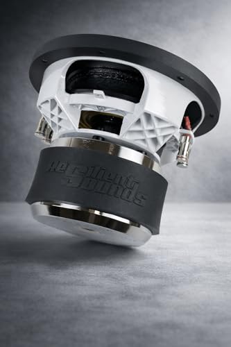 Resilient Sounds Gold 10' SUBWOOFER D2 1,000RMS (2,000WATTS)