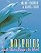 Dolphins and Their Power to Heal