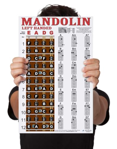 Laminated Mandolin Fretboard Poster