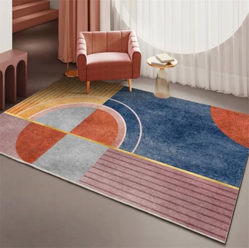Tapis salon lavable en machine résistant et facile à nettoyer 180x250
