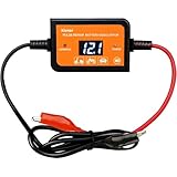 ladeger�t 48v bleiakku