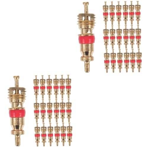 Alipis 2sets Valve Core Bike Replacement Bike Tire Air Valve Caps Reusable for Daily Use 50pcs*2