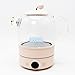 Imagen de QTYQWC Hogar Electric Electric Kettle Health Preservante Pot portátil Múltiple Té Multi Té Poselera Visión de la máquina de ebullición de Agua