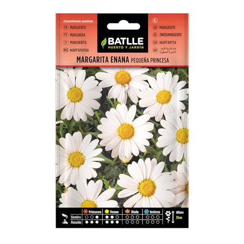 Semillas Batlle Margherita Nano Piccola Principessa