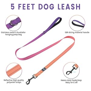 RosesPoetry-Small-Dog-Harness-and-Leash-Set-No-Pull-Dog-Harness-Adjustable-Reflective-Dog-Halter-Harnesses-Comfort-Padded-Handle-Pet-Harness-for-Training-Outdoor-WalkingMistyrose-S - Cucciolini Doodles   RosesPoetry-Small-Dog-Harness-and-Leash-Set-No-Pull-Dog-Harness-Adjustable-Reflective-Dog-Halter-Harnesses-Comfort-Padded-Handle-Pet-Harness-for-Training-Outdoor-WalkingMistyrose-S