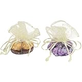 Dealglad 100Pcs Beige Organza Tulle Circles with Drawstring, 9.8 Inch Round Organza Bags Jewelry Can