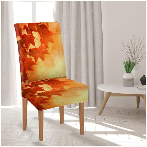 Bisead 20210821248897 Maple Chair Covers Removable Set Of 4 Vintage Dining Chair Slipcovers Yellow Autumn Fall Leaves Brown Decorative Seat Slipcovers thumb #4