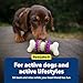 PetSafe® Busy Buddy® Bristle Bone®, Medium, Helps Keep Your Dog's Teeth Clean, Long-Lasting Playtime