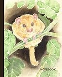 Dormouse Notebook: Notebook 8x10inches 120 pages lined journal