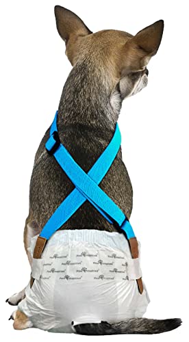 Image of PAW Inspired Dog Diaper Suspenders, Blue, X-Small /Small | Extra-Small /Small, Stretchy Adjustable Straps, Velcro Closures, For Female and Male Disposable and Washable Diapers