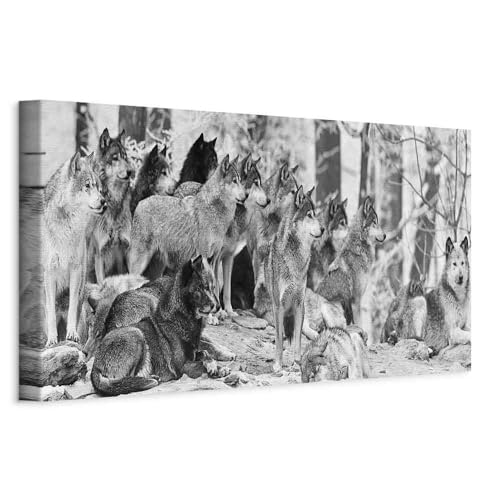 murando - Quadro Acustico Animali 1 pezzo schiuma acustica Quadri Moderni Camera da Letto Matrimoniale - Stampa su Tela - Pannelli Fonoassorbenti Decorativi - Fonoassorbente Acustiche