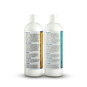 earthbath, Oatmeal & Aloe Dog Shampoo and Conditioner - Oatmeal Shampoo for Dogs, Itchy, Dry Skin Relief, Dog Wash, Made in USA, Dog Conditioner, Pet Shampoos - Vanilla & Almond, 16 Oz (1 Set) earthbath, Oatmeal & Aloe Dog Shampoo and Conditioner – Oatmeal Shampoo for Dogs, Itchy, Dry Skin Relief, Dog Wash, Made in USA, Dog Conditioner, Pet Shampoos – Vanilla & Almond, 16 Oz (1 Set)