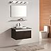 mirrea 24in Modern LED Vanity Light in 4 Lights Stainless Steel and Acrylic 21w Cold White 5000K