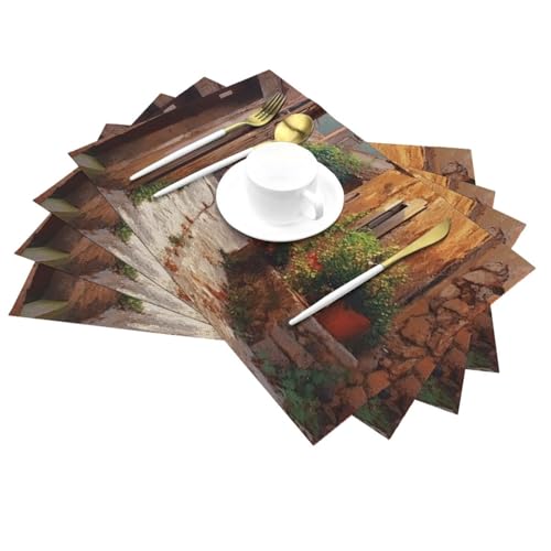 Set de table en PVC résistant à la chaleur lavable 30x45 - 4
