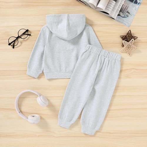 Image of YOUNGER STAR Toddler Baby Boy Girl Clothes Fall Winter Outfits Long Sleeve Hoodie Sweatshirt Sweat Pants Cotton Sweatsuits