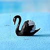 Swan Miniature Figurines，Black and White Swans Fairy Garden Accessories,for Plant Pots, Bonsai Craft Decor, Cake Topper, Home Decoration, DIY Craft, Cake Toppers, Desk Decor,Birthday's Gift 4 Pieces #5