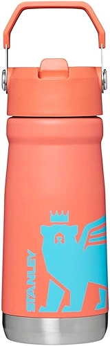 Stanley - Garrafa de água com palhinha flip isolada para crianças, pega de transporte, resistente a derrames, 500 ml, Grapefruit