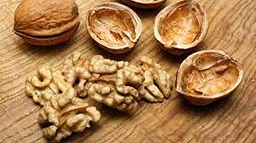 Image of In Shell Walnuts (4 Lbs.) - Large Natural California Walnuts - Great Source of Omega 3 - Fresh New Crop - Bursting with Flavor - Farm Fresh Nuts Brand