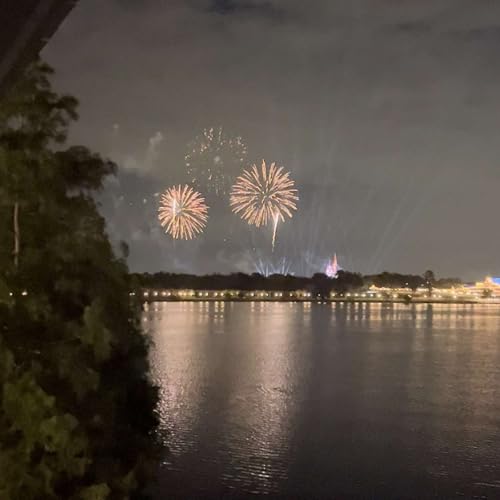 DVC for Adults cover art