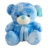 Délice de célébration : lorsque l'ours en peluche coloré rejoint l'anniversaire ou le jour d'école de votre enfant, il devient un cadeau de vacances précieux, renforçant l' de fête et partageant la des vacances.