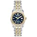 Citizen Women's Eco-Drive Stainless Steel Watch with Date, EW2294-53L