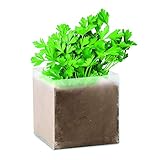 PromotionGift