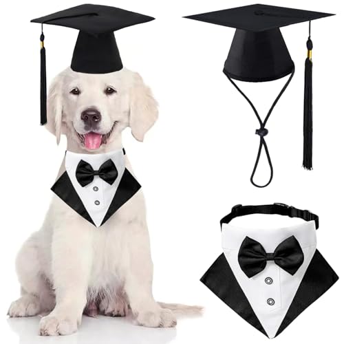 Disfraz de Graduación para Perro con Gorro y Pajarita Mediano