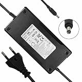 YZPOWER Chargeur De Trottinette 42V 5A, 36V 10S Lithium Chargeur De Batterie pour Vélo Électrique, Hoverboard, e Scooter, Electric Bike avec DC 5,5 * 2,1MM Connecteur