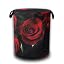 Red Rose