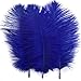 Shekyeon Royal Blue 10-12inch 25-30cm Ostrich Feather Home Decoration DIY Craft Pack of 10