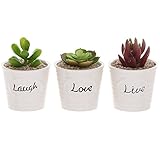 Set of 3 White Ceramic Ribbed Design LIVE LAUGH LOVE Expression Succulent Plant Pot Containers - MyGift