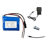 Seasider 12V 2600mAh Rechargeable Li-ion Battery Pack, Bare Leads Wire Lithium Replacement Battery with 12V Charger for 12 Volt Device RC Car, Boat, Robot, DIY, LED Light Strip
