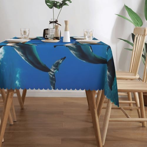 Nappe rectangulaire dauphin lavable pour protéger la table et décorer vos événements