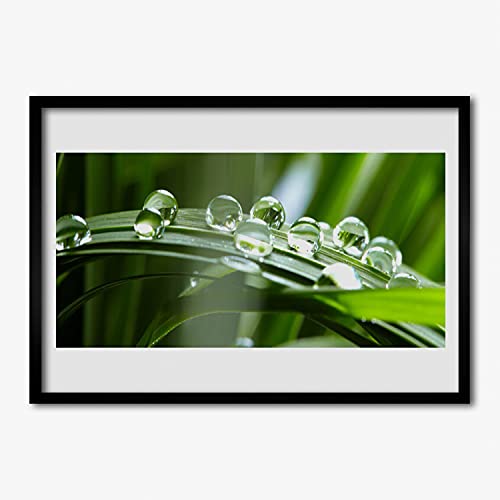 Affiche encadrée 70x50 cm Tulup cadre MDF plante herbe rosée pour salon