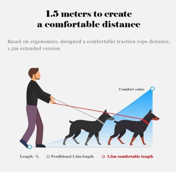 Cosyhome london Soft Nylon Dog collar with Lead Leash with Colorful Patterns, Comfortable Strong Dog Training Walking Lead Leashes with 2 D-ring for Small Medium Dogs, 1.2m × 2.0cm (s, bones)
