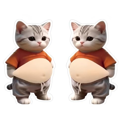 AEIXYA Autocollants 3D Pour Le Ventre Du Chat, Stickers 3D, Stickers Kawaii, Autocollants Décoratifs Pour Cahiers, Boîtes À Goûter, Gourdes, Voitures Et...