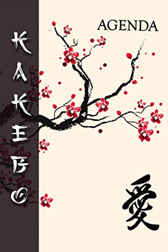 kakebo agenda: Méthode Japonaise pour Épargner | Agenda pour tenir son budget...