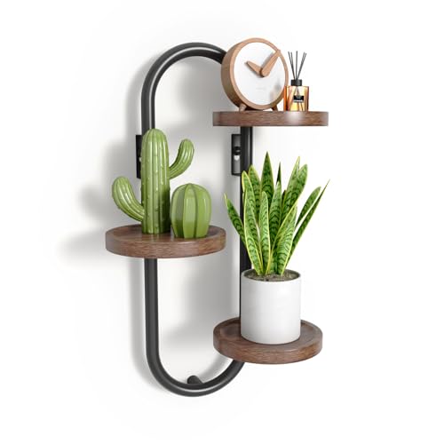 FKSLIFE 3 Tier Wall Plant Stand Heavy Duty Wall Mounted Planter Holder for Multiple Plants Metal Round Flower Stand Plant Shelf for Patio Garden Balcony Living Room Bedroom Home Decor