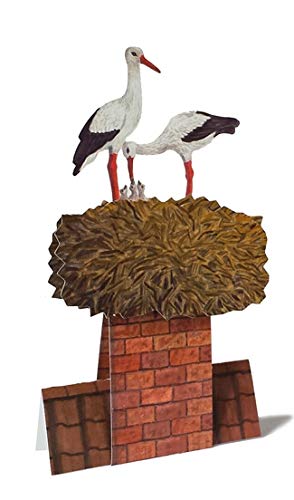 Tarjeta postal en 3D con texto "StörCHE im NEST Pop-Up", también adecuada como tarjeta de felicitación original para recién nacido Cover