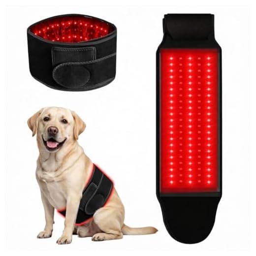 Asenei Professional Red Light Therapy Belt